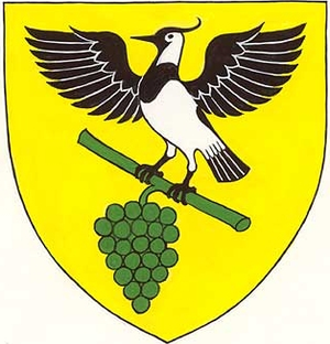 Gaubitscher Stromgleiter